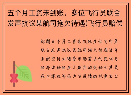 五个月工资未到账，多位飞行员联合发声抗议某航司拖欠待遇(飞行员赔偿)